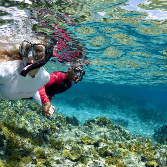 Immersioni a Capo Palinuro