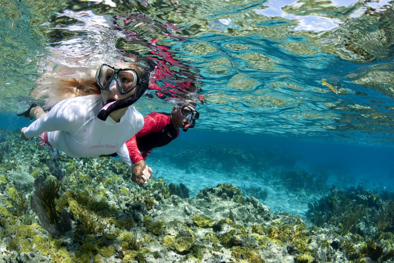 Immersioni a Capo Palinuro